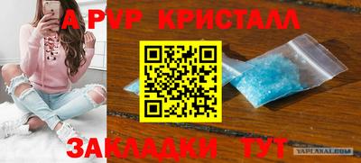 Альфа ПВП Ноябрьск