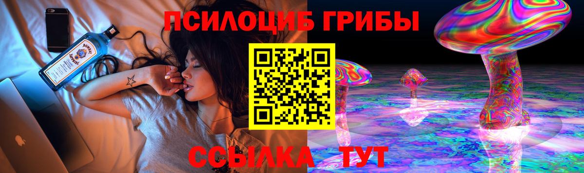 Псилоцибиновые грибы Psilocybine cubensis Ачхой-Мартан